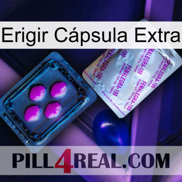 Erigir Cápsula Extra 37.jpg